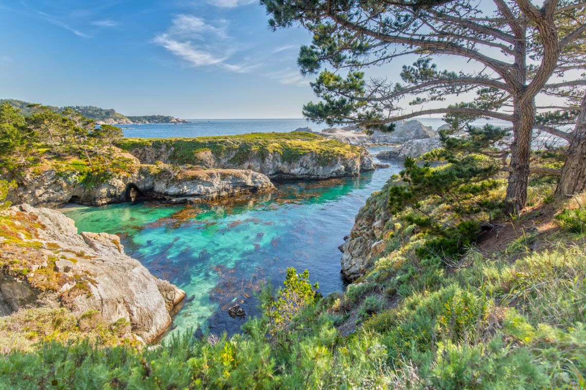 Point Lobos State Reserve Monterey Peninsula - sunny trees & grass with blue water